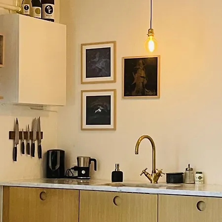 Apartmentincopenhagen 1513 كوبنهاجن